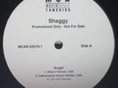 Shaggy Angel (Vinyl)