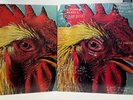 Pavement Watery Domestic EP + Ambergris LP | Matador OLE 044-1 | EX RARE BUNDLE