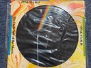 Pink Floyd Dark Side of the Moon Vinyl Record Picture Disc