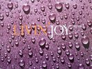 Livin' Joy - Dreamer 12 Inch Vinyl Single (12 Inch Record)