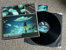 Bring Me The Horizon - Count Your Blessings - Black Vinyl 2016