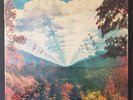 TAME IMPALA INNERSPEAKER(2XLP) '2011 US PRESSING GATE FOLD COVER SEALED