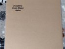 Replica-Oneohtrix Point Never (LP) TEST PRESSING #69 Very Good Check Description