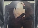 Santana’s Greatest Hits OG 1974 LP PC 33050 ORIGINAL FIRST Pressing EX/VG+