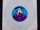 The Wailers Stop The Train (1st Pressing, Sumimit, Reggae) 7