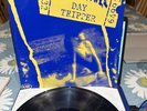THE WALL - Day Tripper - 1982 - No Future Vinyl 02.21 - UK - Punk - Ex/Ex
