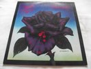 THIN LIZZY   BLACK ROSE - A ROCK LEGEND ** 1979 UK Spaceship VERTIGO LP