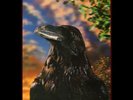 The Stranglers - The Raven (LP) (Near Mint (NM or M-)) - 3683158738