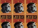 Peter Tosh Equal Rights (Vinyl) 12