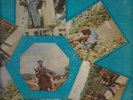 BOB MARLEY & WAILERS / SOUL REVOLUTION PART 11 / LP