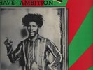 RASTA HAVE AMBITION D.J. IN DUB / LP