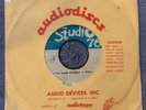 TIM HARDIN “I’VE SUNG WITHOUT PAIN