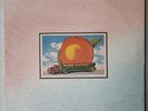 THE ALLMAN BROTHERS BAND EAT A PEACH 2-LP SET VG+ VINYL RECORD WARNER 1972