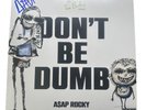 ASAP ROCKY SIGNED DONT BE DUMB VINYL LP ROUGH TRADE EXCLUSIVE PROOF RIHANNA
