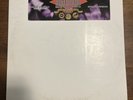 Diamond D Stunts, Blunts And Hip Hop INSTRUMENTAL Vinyl Record Album 2X Lp EX