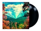 Tame Impala : Innerspeaker (2010 Original Release Vinyl 2LP) NM