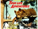 Walt Disney's True-Life Adventures 1957 Vinyl Disneyland Records 1st Press Mono