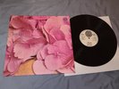 Still Life – Still Life -RARE  PROG . ROCK -GERMANY  REISSUE-VERTIGO SWIRL-MINT