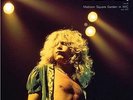 Led Zeppelin - Live At Madison Square Garden In NYC, July 1973 (Vinyl 2LP) NEW