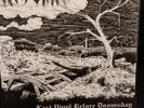 Worship – Last Vinyl Before Doomsday 2009 Doom Mantra Records