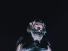 Nothing The Great Dismal (Vinyl)