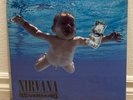 Nirvana Nevermind Picture Disc Vinyl