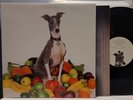 SHELLAC Excellent Italian Greyhound EX 2007 TOUCH & GO LP Steve Albini MATH ROCK