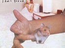 Sonic Youth - A Thousand Leaves - Vinyl Record 150g 2LP