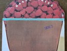 Raspberries - Side 3 * VG+ * Vinyl LP * SMAS-11220