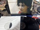 Beth Orton - Central Reservation Double LP - Arista RTH 2011 - US 2008 Release