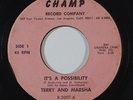 Northern Soul 45 TERRY & MARSHA It's A Possibility/He on Champ