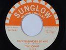 Sweet Soul 45 THE SOUNDS You Could Never Be Mine/Little Joe on Sunglow