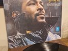 Marvin Gaye 