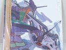 Evangelion 30th Neon Genesis Cruel Angel's Thesis Color Vinyl 1st Press