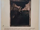Pixies - Surfer Rosa - US First Press 1988 - Vinyl LP - 4AD - CAD 803  VG+/VG+