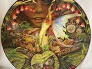 Spyro Gyra – Morning Dance Promo Picture Disc MCA Wherehouse 1979
