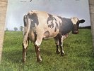 Pink Floyd Atom Heart Mother 1970 LP EX Original Untitled SKAO-382 Old Sun PG