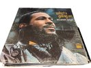 Marvin Gaye 'What's Going On' Vinyl LP (1971) Original TS310 TAMLA