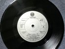 THE GREEDIES - MERRY JINGLE rare IRISH 1979 / SEX PISTOLS THIN LIZZY PUNK MINT-