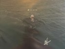 nf - Hope (2xLP) (Mint (M)) Vinyl