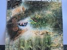 Pink Floyd ‘A Saucerful Of Secrets SCX6258  1968 First Press VG+/VG+  RARE
