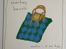 Courtney Barnett / Sometimes I Sit And Think… 2015 Vinyl LP NM/NM Record Album