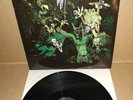 Misfits Earth A.D. Wolfs blood Green Beast Signed by 2 Samhain Danzig 1988