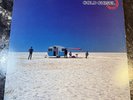Cold Chisel Circus Animals Vinyl LP Record 1982 Elektra Records -PROMO R1-60119