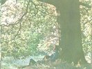 JOHN LENNON-PLASTIC ONO BAND-PICTURE SLEEVE + 45--(MOTHER)-EX. SLEEVE--PS--PIC
