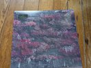 SLEEP TOKEN - EVEN IN ARCADIA - Arcadian Bloom 2LP SOLD OUT US EXCLUSIVE