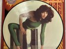 KATE BUSH - The Kick Inside - Rare 1st Press UK Picture Disc LP (Vinyl Record)