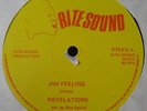 Revelation  - Jah Feeling / With You Boy (12