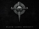 Black Label Society - (PRE ORDER 3/6/26) Order of the Black (ICE 2xVINYL) - META