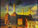Pink Floyd – Animals - USED Vinyl LP
